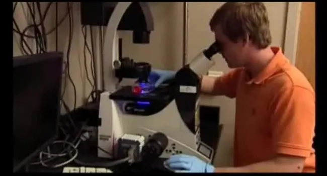 Stem Cells (short version) | diSCovering science