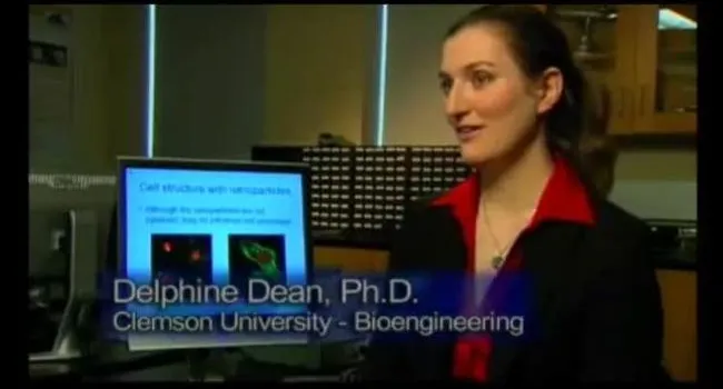 Bioengineering - Career in Science | diSCovering science