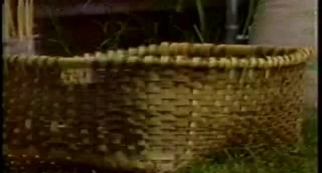 Making Split Oak Baskets  | Digital Traditions