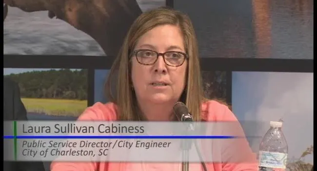 Charleston Main Panel, Part 2 - Laura Sullivan Cabiness | Sea Change