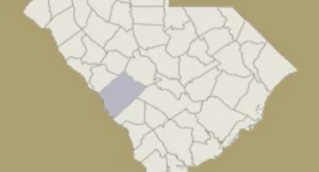 
            <div>Aiken County | Digital Traditions | Special Projects</div>
      