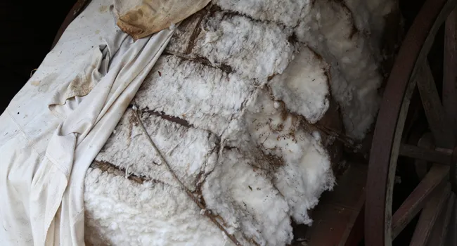 Bale of Cotton | Historic Brattonsville