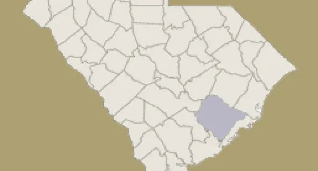 
            <div>Berkeley County | Digital Traditions | Special Projects</div>
      