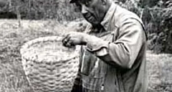 
            <div>Stout Hearts: Traditional Oak Basketmakers of the S.C. Upcountry</div>
      