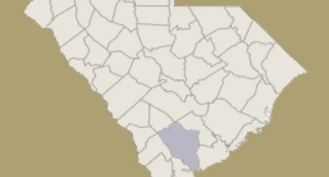 
            <div>Colleton County | Digital Traditions | Special Projects</div>
      
