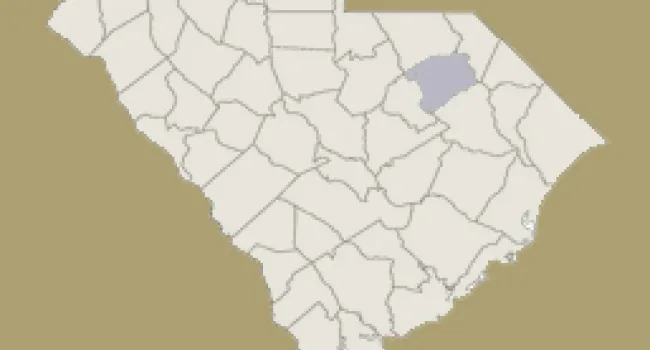 
            <div>Darlington County | Digital Traditions | Special Projects</div>
      