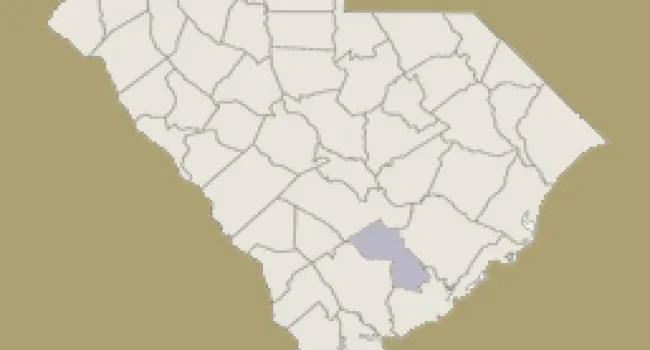 
            <div>Dorchester County | Digital Traditions | Special Projects</div>
      