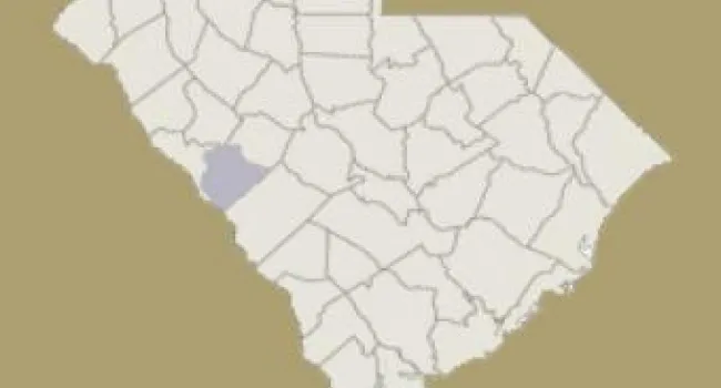 
            <div>Edgefield County | Digital Traditions | Special Projects</div>
      