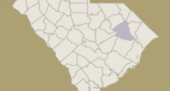 
            <div>Florence County | Digital Traditions | Special Projects</div>
      