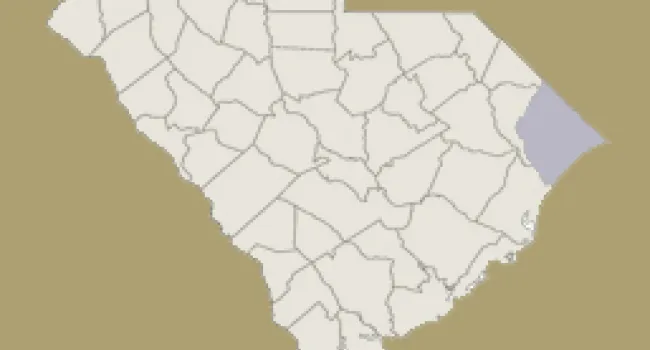 
            <div>Horry County | Digital Traditions | Special Projects</div>
      