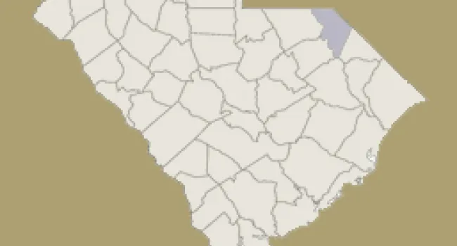 
            <div>Marlboro County | Digital Traditions | Special Projects</div>
      