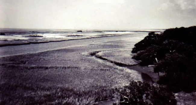 Lowcountry Seascape | History of SC Slide Collection