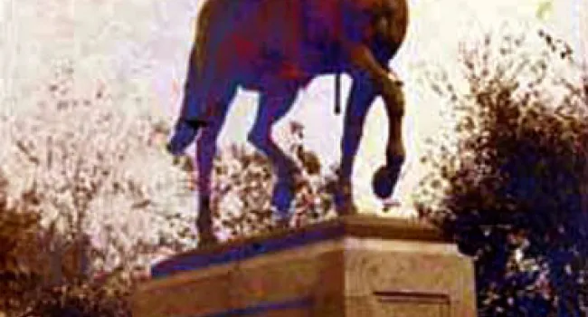 Wade Hampton III Monument | History of SC Slide Collection