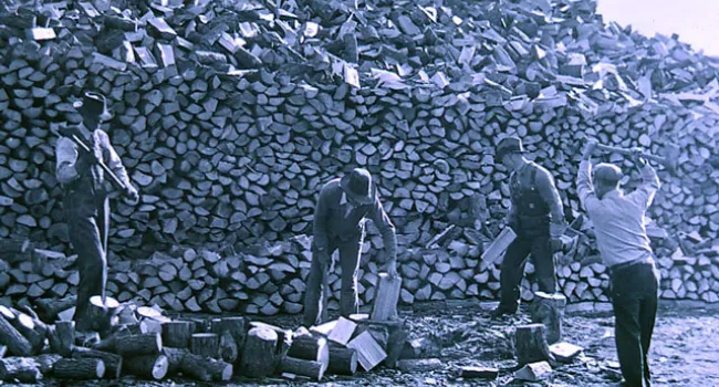 WPA Workers Cut Wood for Needy Families | History of SC Slide Collection