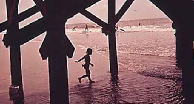 The Isle Of Palms | History Of SC Slide Collection