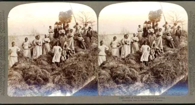 A Rice Raft with Plantation Hands | History of SC Slide Collection