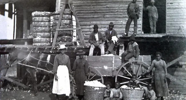 Cotton Gin in Operation | History of SC Slide Collection