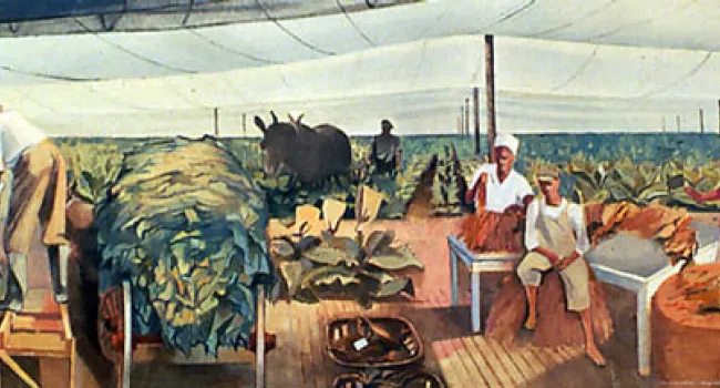 Tobacco and Industry Mural by Lee Gatch | History of SC Slide Collection
