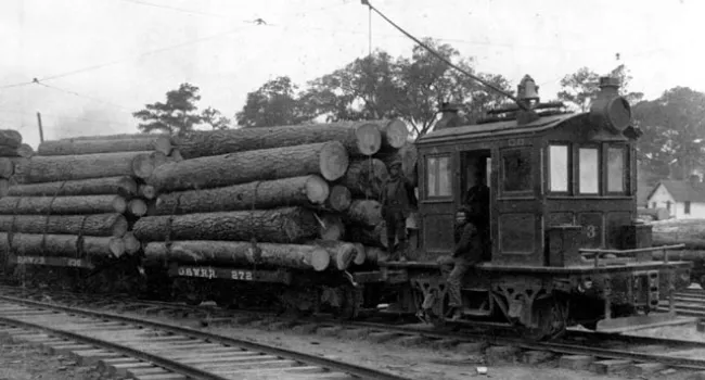 The Atlantic Coast Lumber Company | History of SC Slide Collection