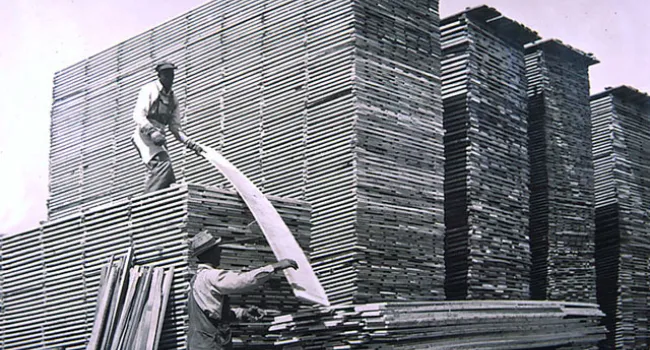 The Lumbering Industry | History of SC Slide Collection