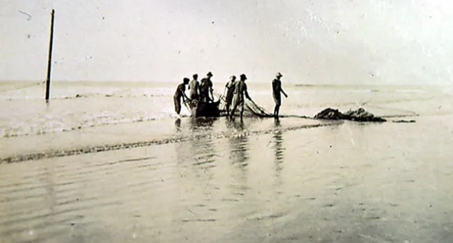 Fishermen On Isle of Palms | History Of SC Slide Collection