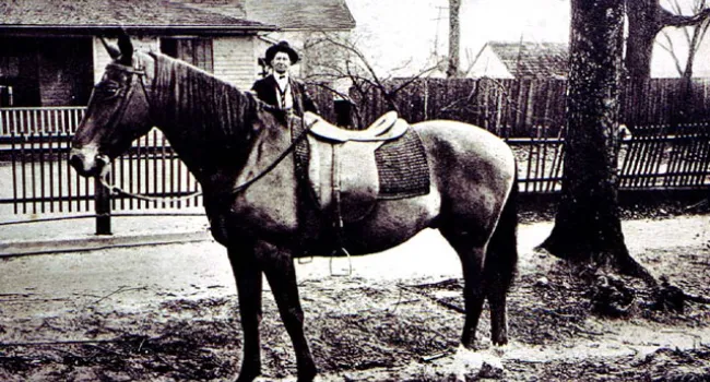 Showing Off A Favorite Horse | History Of SC Slide Collection