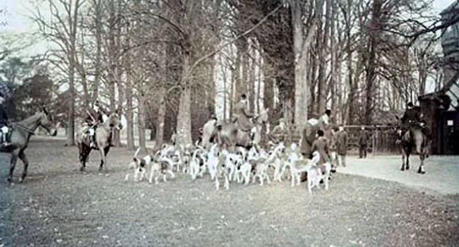 A Hunting Party In Aiken, 1910 | History Of SC Slide Collection