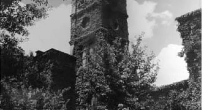 The Bell Tower on Furman Hall | History of SC Slide Collection