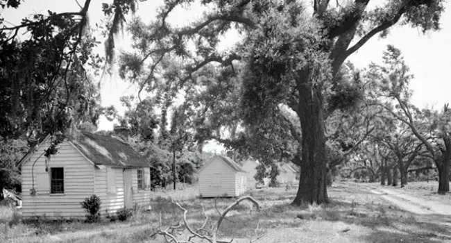 McLeod Plantation in Charleston County | History of SC Slide Collection