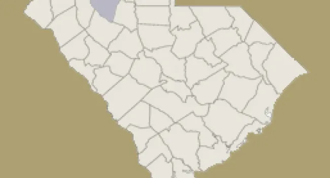 
            <div>Spartanburg County | Digital Traditions | Special Projects</div>
      