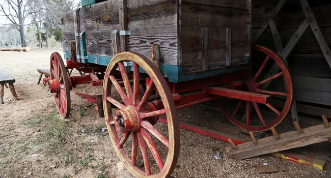 Wagon Used for Hauling Cotton | Historic Brattonsville