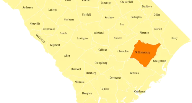 
            <div>Williamsburg | SC Counties</div>
      