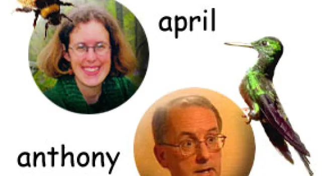 April Pulley Sayre & Anthony Fredericks | National Book Month