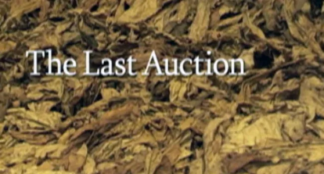 Last Auction - Credits