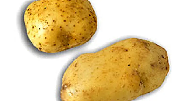 Potatoes Are Actually from South America | Periscope