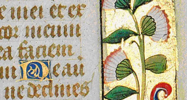 15th Century Prayer Book | National Book Month