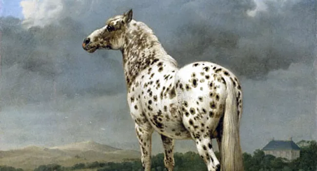 The Piebald Horse | Artopia