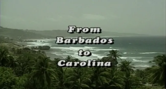 
            <div>From Barbados To Carolina: Colony of a Colony</div>
      