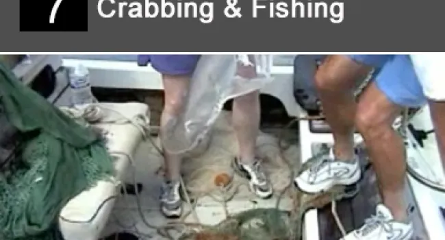 
            <div>07. Crabbing & Fishing in the Marsh</div>
      