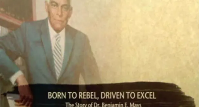 
            <div>Born To Rebel, Driven To Excel</div>
      