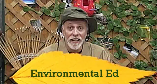 
            <div>Environmental Ed</div>
      