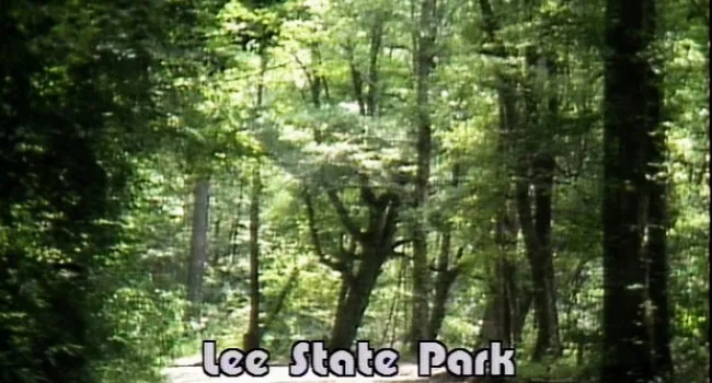 
            <div>Lee State Park (S.C.)</div>
      