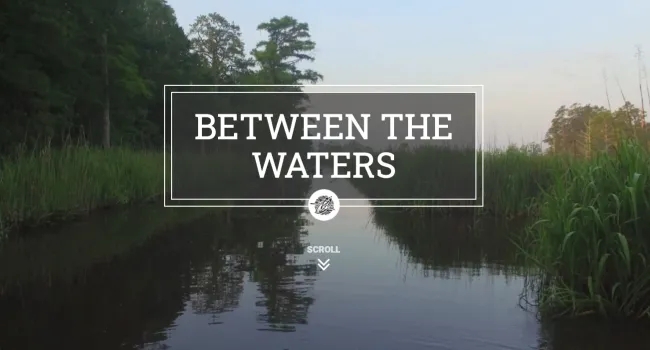 
            <div>Between the Waters</div>
      