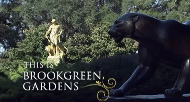 
            <div>This Is Brookgreen Gardens | Carolina Stories</div>
      
