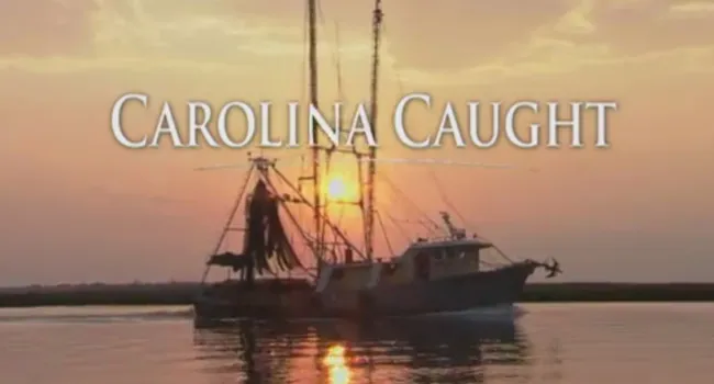 
            <div>Carolina Caught | Carolina Stories</div>
      