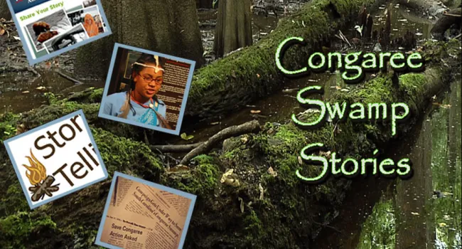 
            <div>Congaree Swamp Stories</div>
      