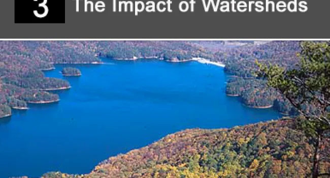 
            <div>03. The Impact of Watersheds</div>
      