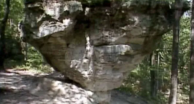 
            <div>Peachtree Rock (S.C.) | NatureScene</div>
      