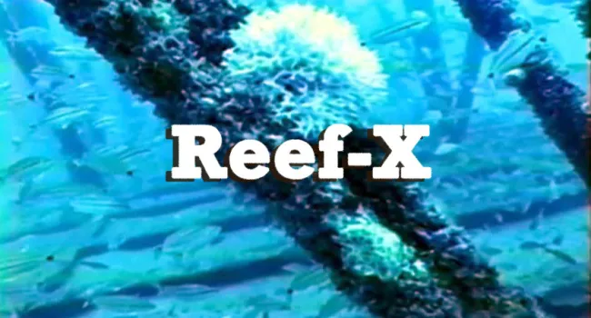 
            <div>Reef-X</div>
      