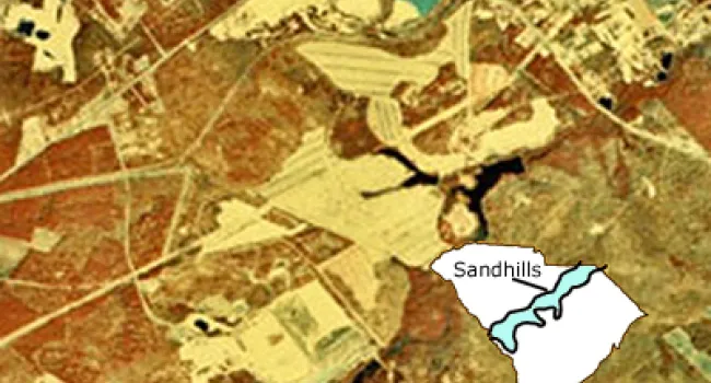 
            <div>Sandhills | A Natural State</div>
      